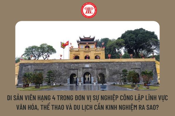 Di sản viên hạng 4 trong đơn vị sự nghiệp công lập lĩnh vực văn hóa, thể thao và du lịch cần trình kinh nghiệm đào tạo ra sao?