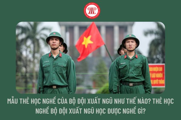 Mẫu thẻ học nghề của bộ đội xuất ngũ như thế nào? Thẻ học nghề bộ đội xuất ngũ học được nghề gì?