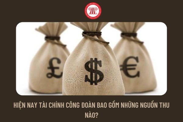 Hiện nay tài chính công đoàn bao gồm những nguồn thu nào?