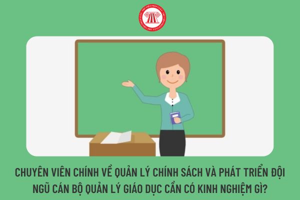 Chuyên viên chính về quản lý chính sách và phát triển đội ngũ cán bộ quản lý giáo dục cần có kinh nghiệm gì?