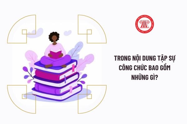 Trong nội dung tập sự công chức bao gồm những gì?