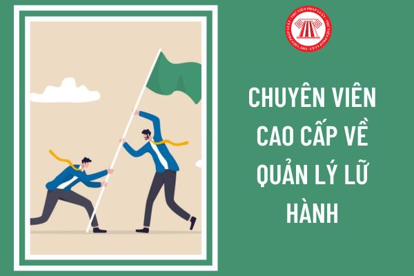 Chuyên viên cao cấp về quản lý lữ hành