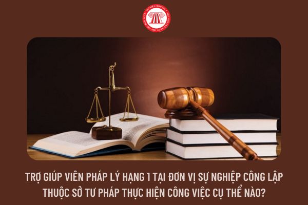 Trợ giúp viên pháp lý hạng 1 tại đơn vị sự nghiệp công lập thuộc Sở Tư pháp thực hiện công việc cụ thể nào?