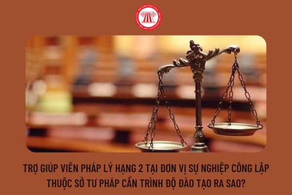 Trợ giúp viên pháp lý hạng 2 tại đơn vị sự nghiệp công lập thuộc Sở Tư pháp cần trình độ đào tạo ra sao?