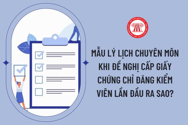 Mẫu lý lịch chuyên môn khi đề nghị cấp giấy chứng chỉ đăng kiểm viên lần đầu ra sao?