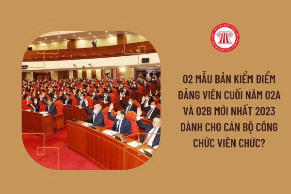 02 Mẫu bản kiểm điểm Đảng viên cuối năm 02A và 02B mới nhất 2023 dành cho cán bộ công chức viên chức?