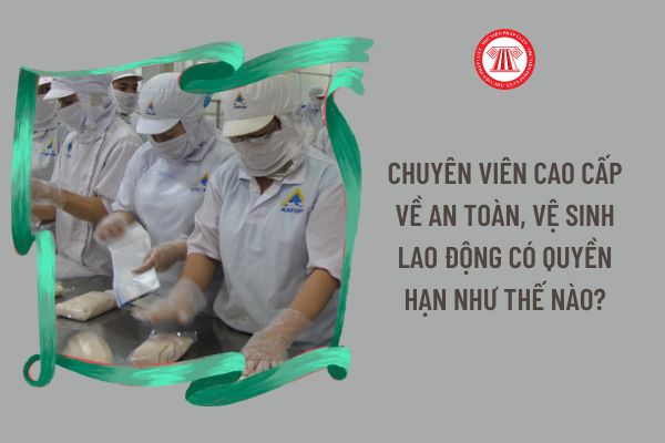 Chuyên viên cao cấp về an toàn, vệ sinh lao động có quyền hạn như thế nào?