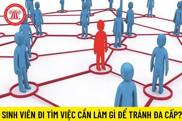 Sinh viên năm nhất mới đi tìm việc làm, cần làm gì để tránh vướng phải đa cấp?