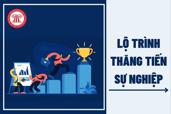 Các bước xây dựng lộ trình thăng tiến sự nghiệp cho nhân viên hiệu quả