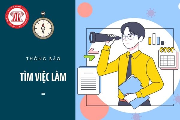 thông báo tìm kiếm việc làm