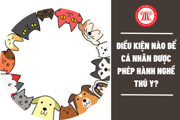 Điều kiện nào để cá nhân được phép hành nghề thú y?