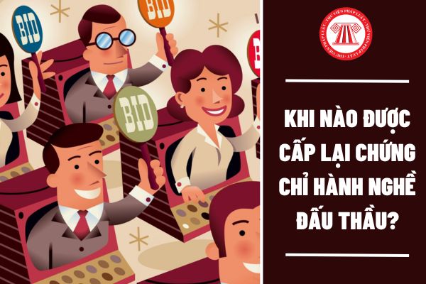 Khi nào được cấp lại chứng chỉ hành nghề đấu thầu?