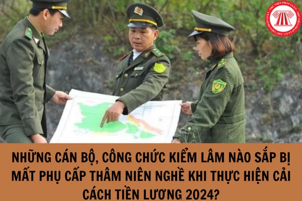 Những cán bộ, công chức kiểm lâm nào sắp bị mất phụ cấp thâm niên nghề khi thực hiện cải cách tiền lương 2024?