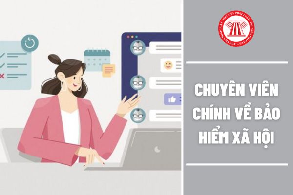 Chuyên viên chính về bảo hiểm xã hội lĩnh vực quan hệ lao động và tiền lương cần trình độ ra sao?