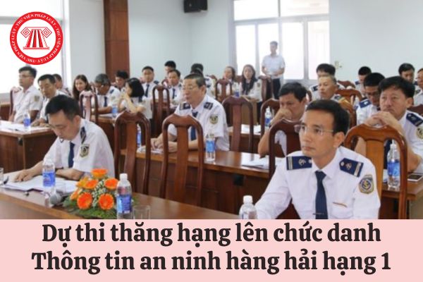 Muốn dự thi thăng hạng lên chức danh Thông tin an ninh hàng hải hạng 1, viên chức phải đáp ứng những tiêu chuẩn gì?