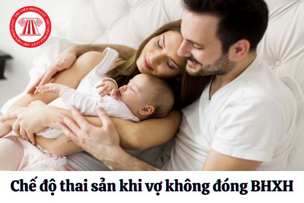 Chồng có được hưởng chế độ thai sản khi vợ không đóng bảo hiểm xã hội hay không?