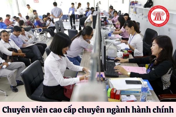 Chuyên viên cao cấp chuyên ngành hành chính