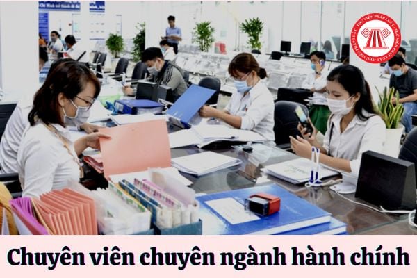 Chuyên viên chuyên ngành hành chính được áp dụng hệ số lương bao nhiêu?