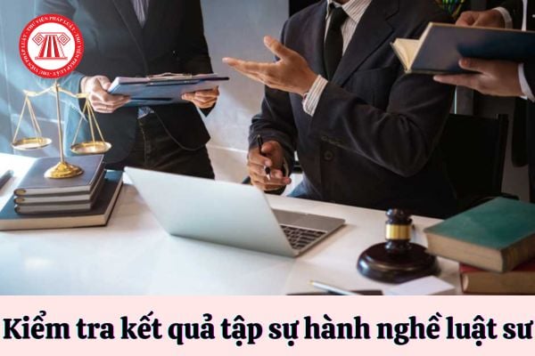 Kiểm tra kết quả tập sự hành nghề luật sư