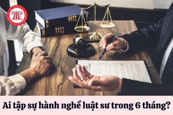 Thời gian tập sự hành nghề luật sư 6 tháng dành cho đối tượng nào?