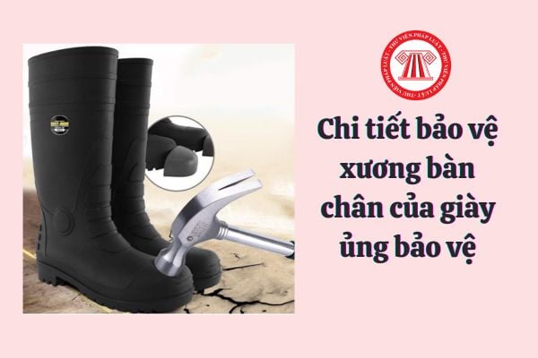 Chi tiết bảo vệ xương bàn chân của giày ủng bảo vệ phải đáp ứng điều kiện gì?