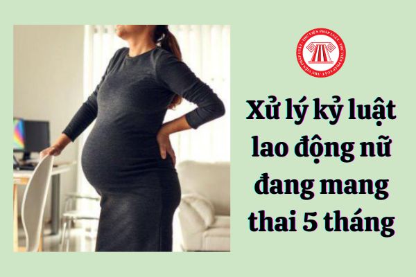 Có được xử lý kỷ luật lao động với lao động nữ mang thai 5 tháng hay không?