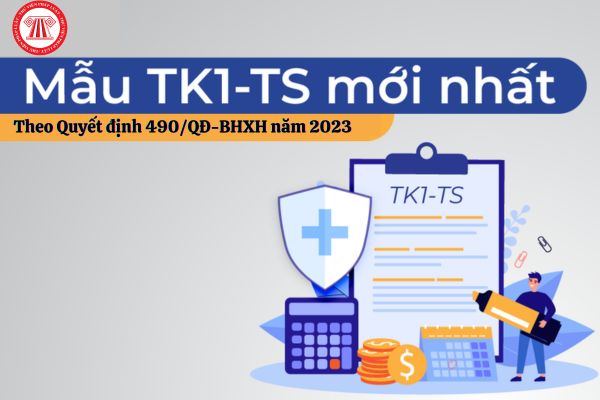 tờ khai tk1 ts