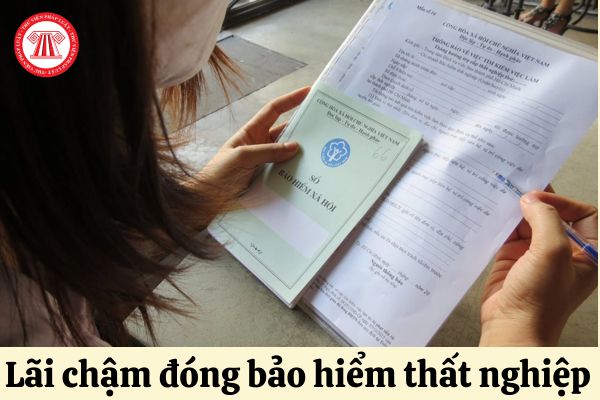 Mức lãi suất chậm đóng BHTN năm 2024 là bao nhiêu?