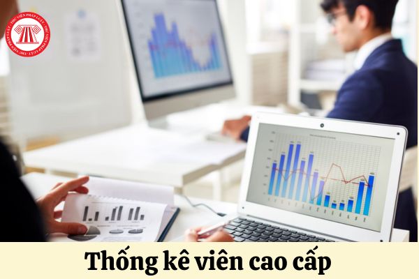 Yêu cầu Thống kê viên cao cấp phải tốt nghiệp trình độ nào?