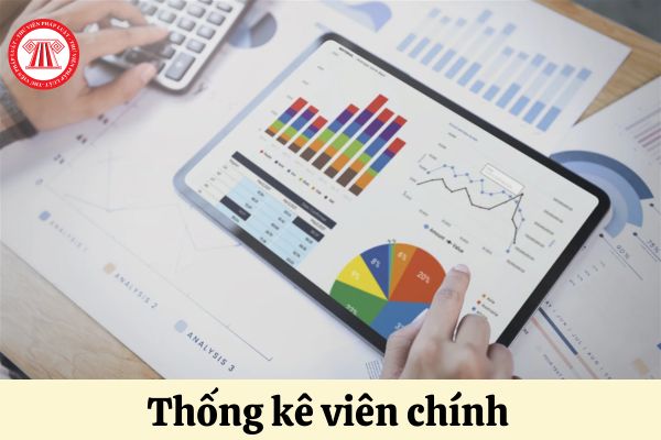 Yêu cầu tiêu chuẩn về trình độ đào tạo của Thống kê viên chính ra sao?