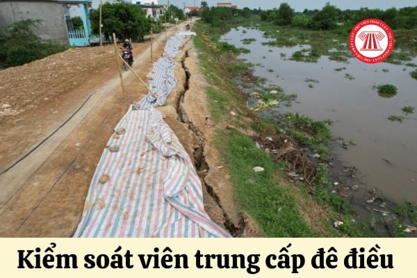 Kiểm soát viên trung cấp đê điều phải đáp ứng tiêu chuẩn về năng lực chuyên môn ra sao?