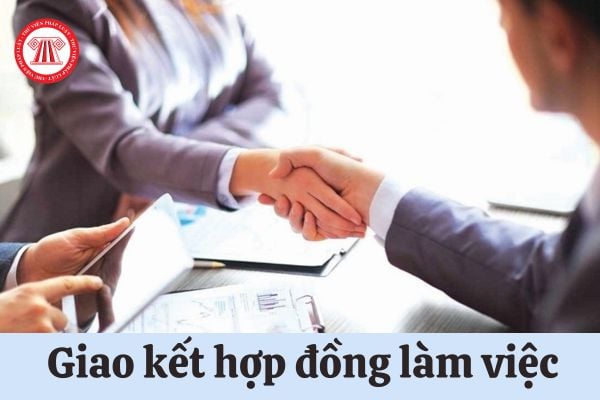 Cần lưu ý gì khi giao kết hợp đồng làm việc với chức danh do cấp trên của người đứng đầu đơn vị sự nghiệp công lập bổ nhiệm?