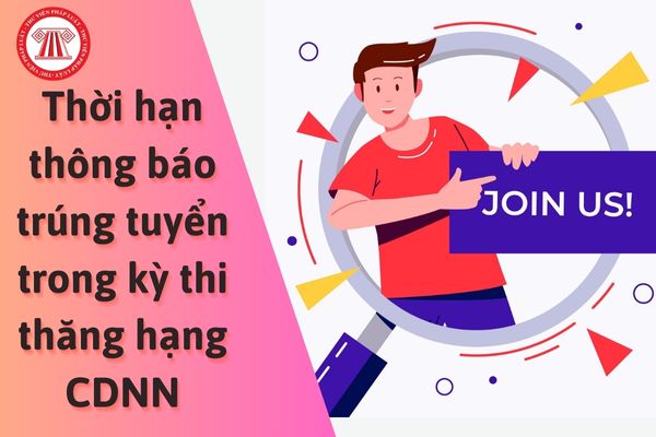 Thời hạn thông báo trúng tuyển trong kỳ thi thăng hạng chức danh nghề nghiệp là bao lâu?