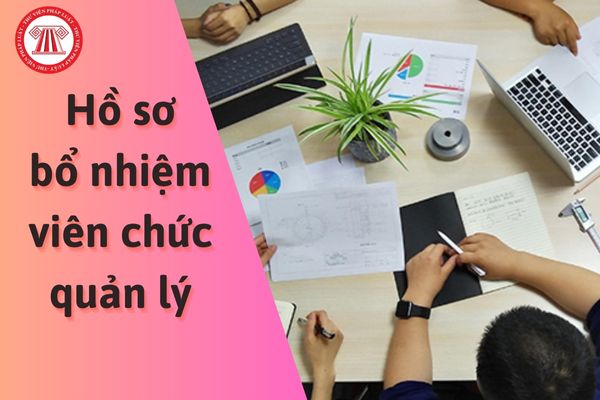 Hồ sơ bổ nhiệm viên chức quản lý bao gồm những giấy tờ gì?