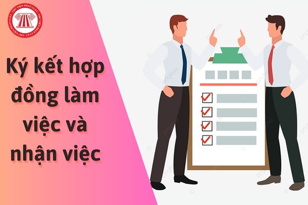 Người được tuyển dụng viên chức không đến ký kết hợp đồng làm việc và nhận việc trong thời gian quy định thì giải quyết như thế nào?