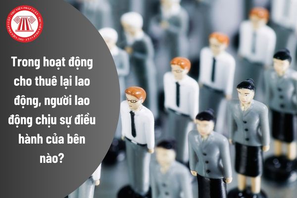 Trong hoạt động cho thuê lại lao động, người lao động chịu sự điều hành của bên nào?