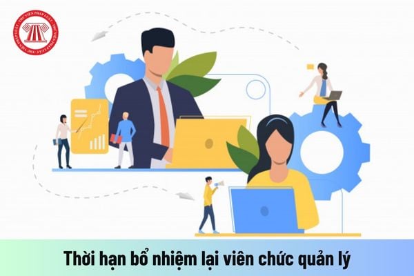 Thời hạn bổ nhiệm lại viên chức quản lý được quy định như thế nào?