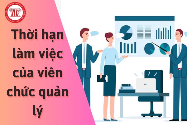 Viên chức quản lý được bổ nhiệm có thời hạn làm việc trong tối đa bao lâu?