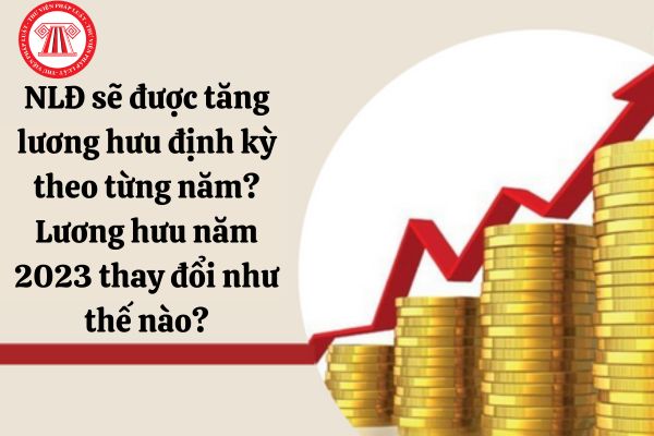 Người lao động sẽ được tăng lương hưu định kỳ theo từng năm? Lương hưu năm 2023 thay đổi như thế nào?