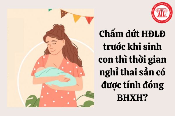 Chấm dứt hợp đồng lao động trước khi sinh con thì thời gian nghỉ thai sản có được tính đóng bảo hiểm xã hội hay không?