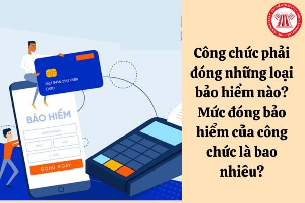 Công chức phải đóng những loại bảo hiểm nào? Mức đóng bảo hiểm của công chức là bao nhiêu?