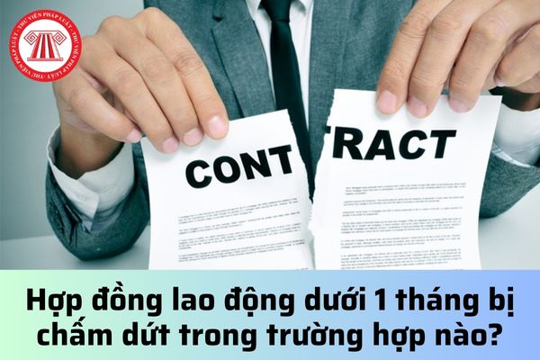 Hợp đồng lao động dưới 1 tháng bị chấm dứt trong trường hợp nào?