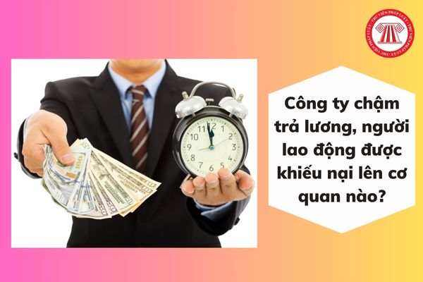 Công ty chậm trả lương, người lao động được khiếu nại lên cơ quan nào?