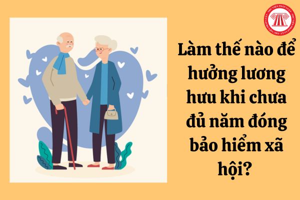 Làm thế nào để hưởng lương hưu khi chưa đủ năm đóng bảo hiểm xã hội? 