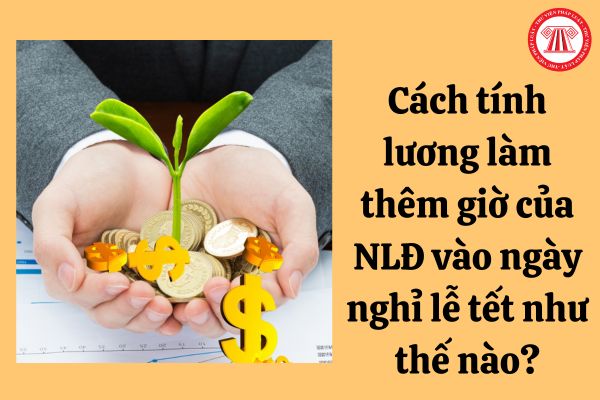 Cách tính lương làm thêm giờ của người lao động vào ngày nghỉ lễ tết như thế nào?