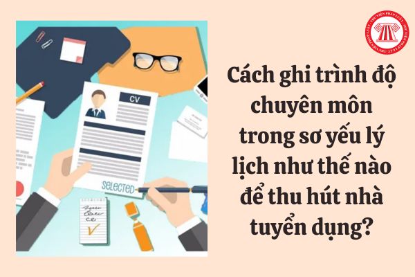 Cách ghi trình độ chuyên môn trong sơ yếu lý lịch như thế nào để thu hút nhà tuyển dụng?