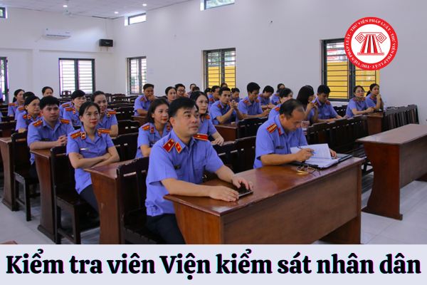 Kiểm tra viên