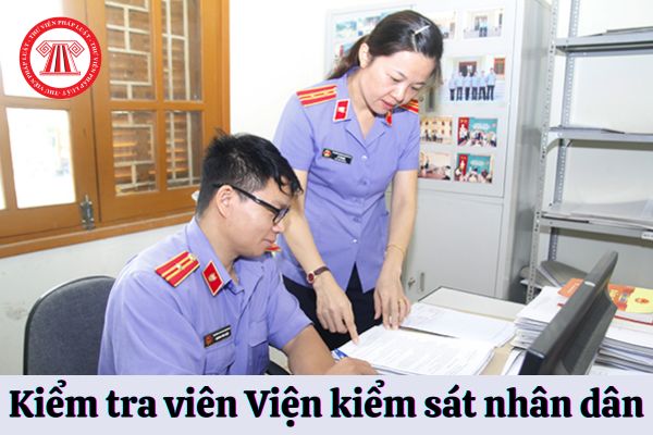 Kiểm tra viên