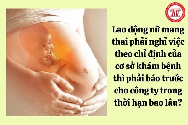 Lao động nữ mang thai phải nghỉ việc theo chỉ định của cơ sở khám bệnh thì phải báo trước cho công ty trong thời hạn bao lâu?