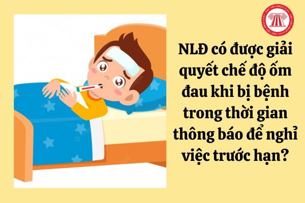 Người lao động có được giải quyết chế độ ốm đau khi bị bệnh trong thời gian thông báo để nghỉ việc trước hạn?